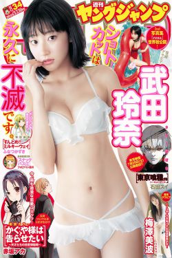 刑警队长 电视剧