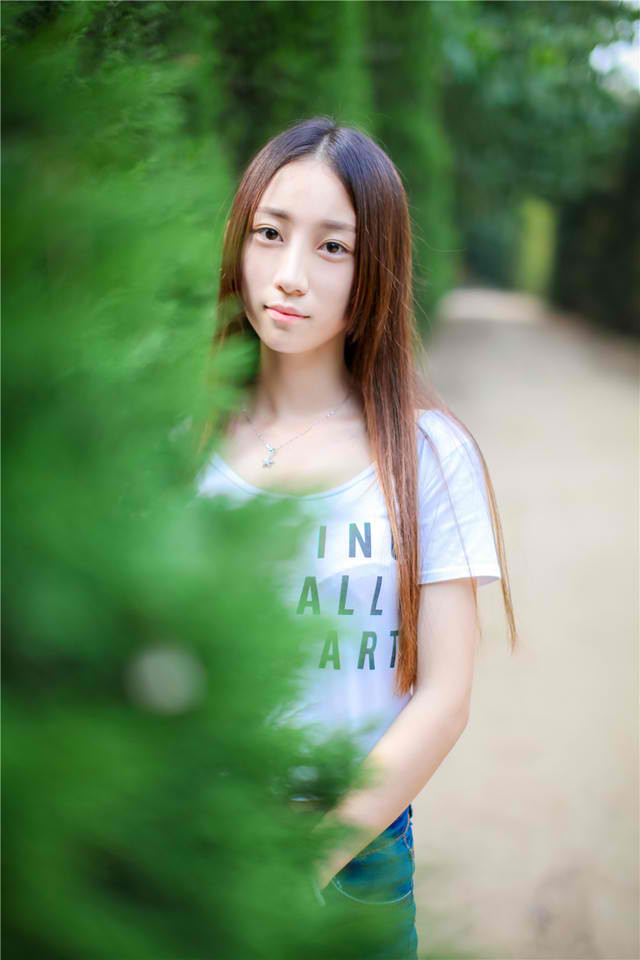 电视剧红娘子在线观看