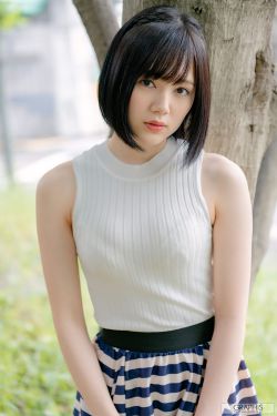 轰天龙虎会国语高清