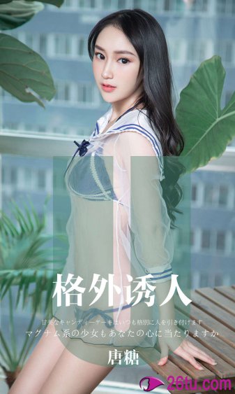 打狗棍电视剧 全集免费观看